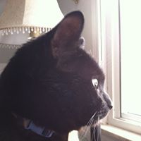 Erin Sussman Photo 11