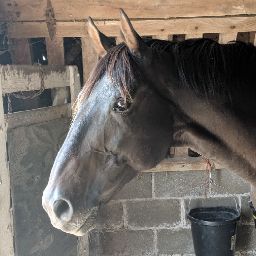 Susan Mckinney Photo 34