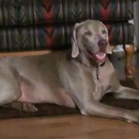 Jill Warren Photo 22