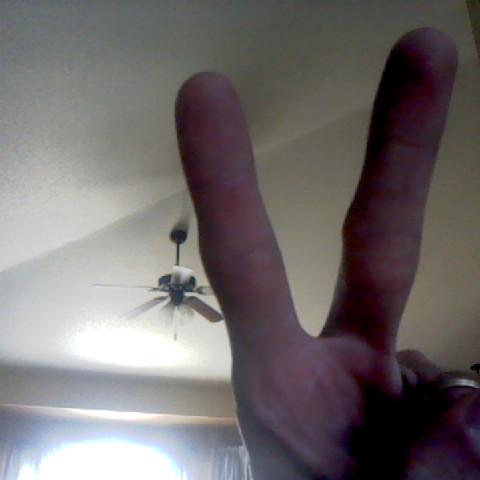 Claudia Rodgers Photo 25