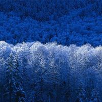 Robert Wyman Photo 45