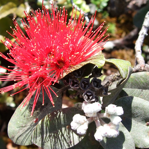 Janice Sims Photo 22