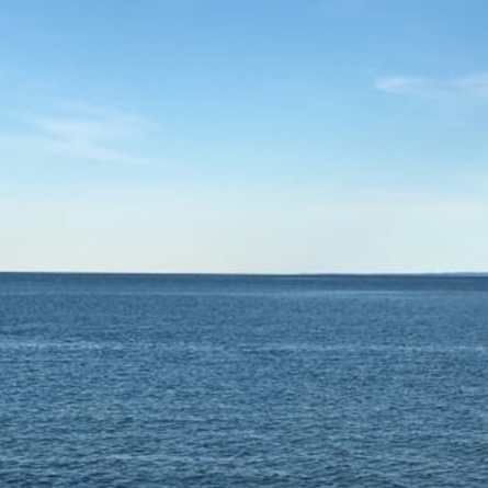 Ryan Peltier Photo 3