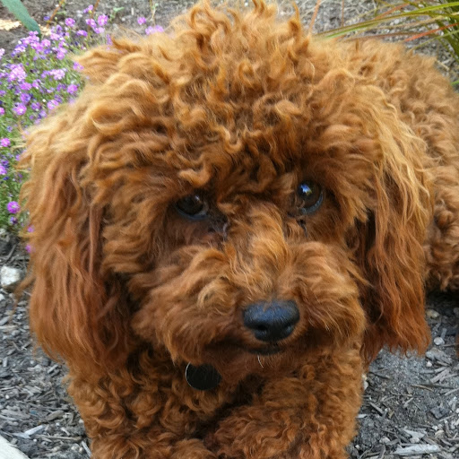 Lisa Talbott Photo 26