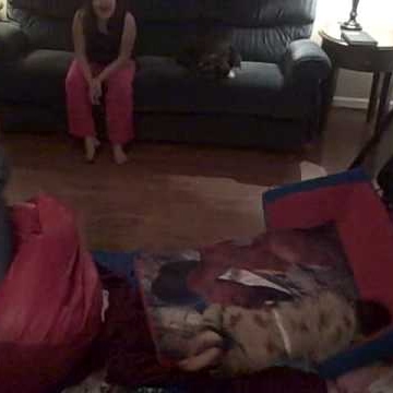 Renee Ferrante Photo 14