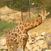 Alice Bryan Photo 12