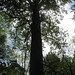 Darrell Stephenson Photo 29