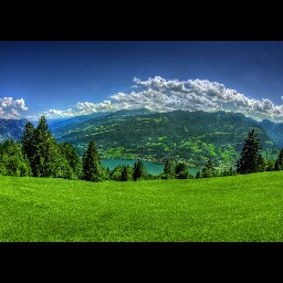 Elizabeth Grimes Photo 9