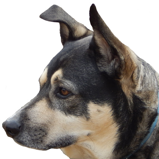 Megan Whitehead Photo 8