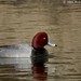 Bob Buskirk Photo 22