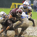 David Muzzy Photo 13