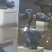 Kathleen Leonard Photo 30