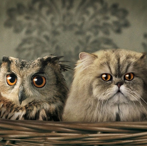 Constance Leavitt Photo 1