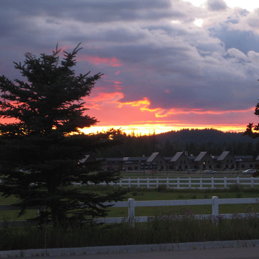 Sally Hanson Photo 11 Sally Hanson Photo 11