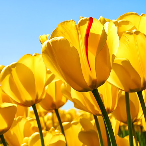 Elizabeth Mccomb Photo 11