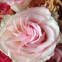 Christina Foltz Photo 9