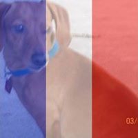 Nancy Armes Photo 12