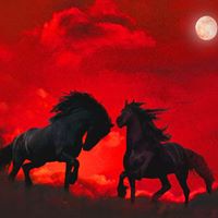 Shannon Curtis Photo 30