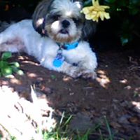 Jill Norman Photo 22