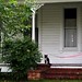 Anne Cavanaugh Photo 19