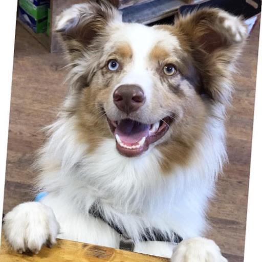 Robbin Miller Photo 10