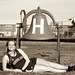 Francine Fields Photo 17