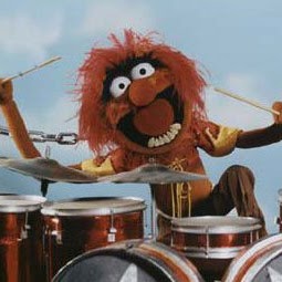 Stephen Wells Photo 45