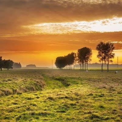 Lee Henderson Photo 44