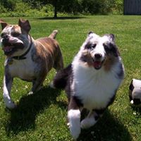 Billy Ezell Photo 18