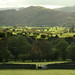 John Rigg Photo 9