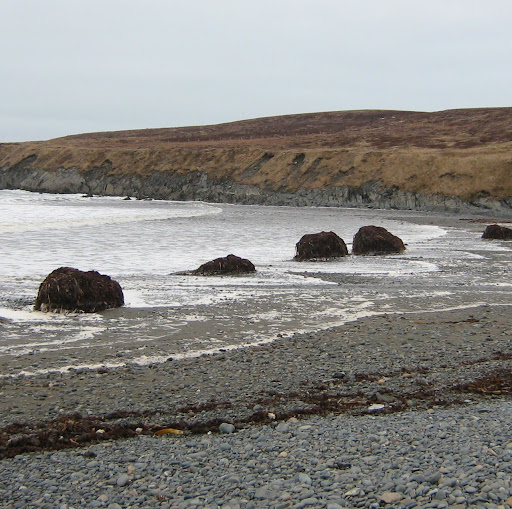 Mary Molloy Photo 29