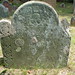 Mary Burrows Photo 14