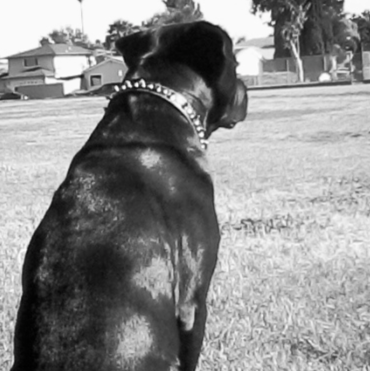 Kristin Lowery Photo 1