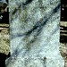 George Mcdaniels Photo 17