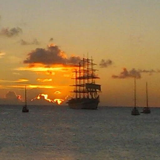 David Raynor Photo 38