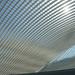 James Barajas Photo 13