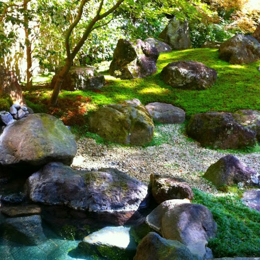 Ann Harrison Photo 13