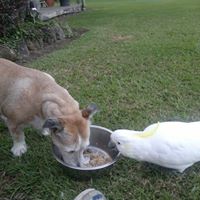 Julie Linton Photo 19