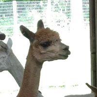 April Ritchie Photo 27