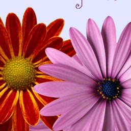 Trudy Brown Photo 29