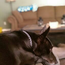 Matthew Gentry Photo 37