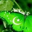 Ambreen Ahmed Photo 9