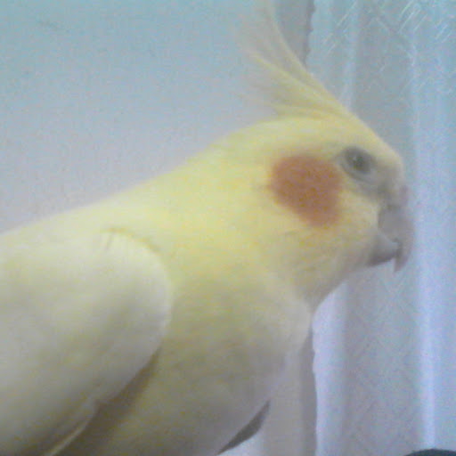 Gloria Urbina Photo 30