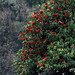 Ann Foret Photo 5