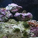 Debbie Fish Photo 16