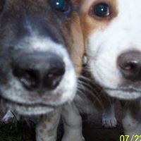 Jessica Samples Photo 36