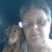 Cynthia Tharp Photo 5
