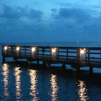 Sherry Walsh Photo 18