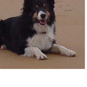 Gillian Singleton Photo 3