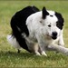 Sue Wessel Photo 12